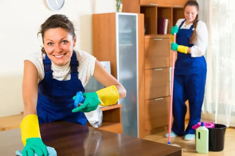 professional cleaners make cleaning